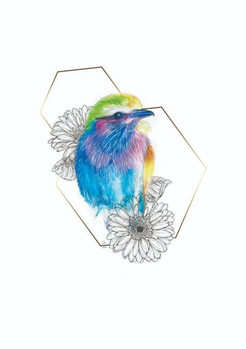 Illustration imprimée -Rainbow bird