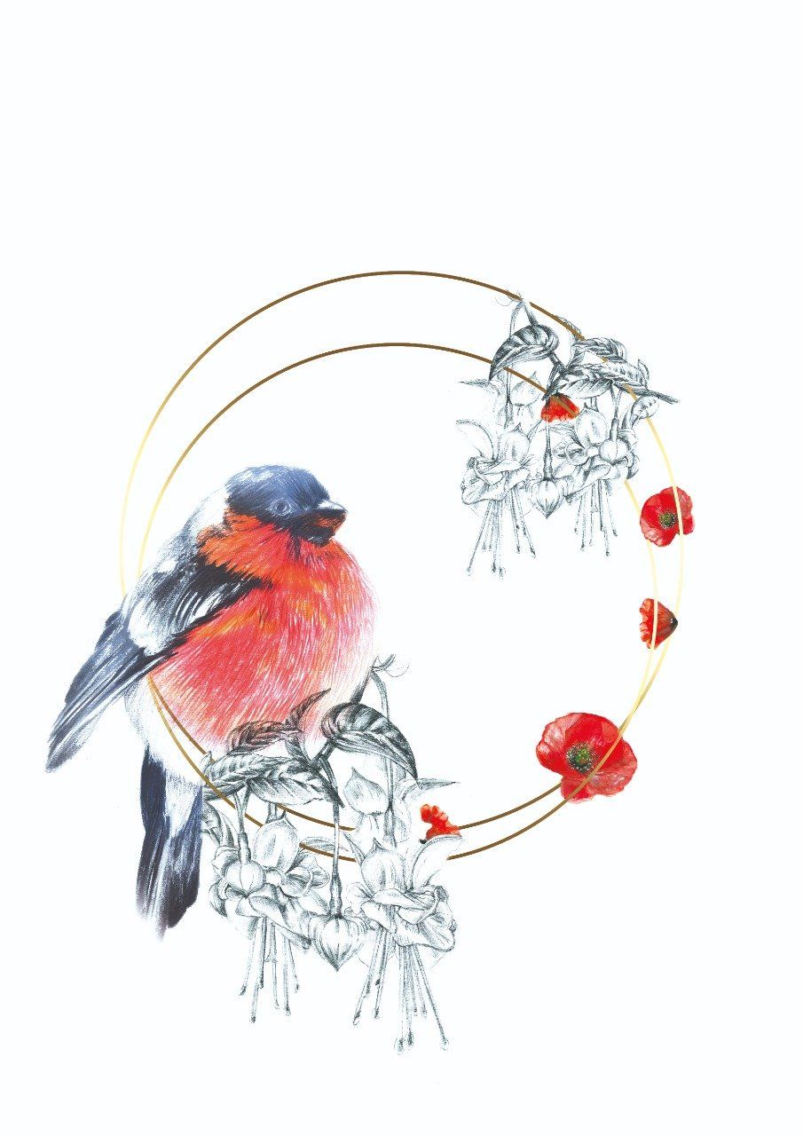 Illustration imprimée - Birdy