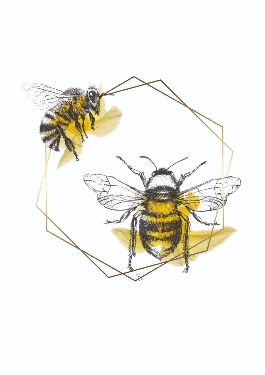Illustration imprimée - Bizz bee
